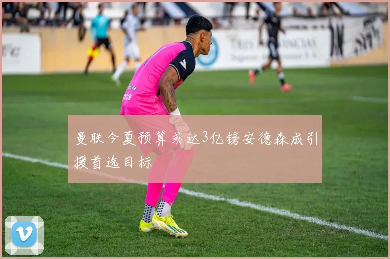曼联今夏预算或达3亿镑安德森成引援首选目标