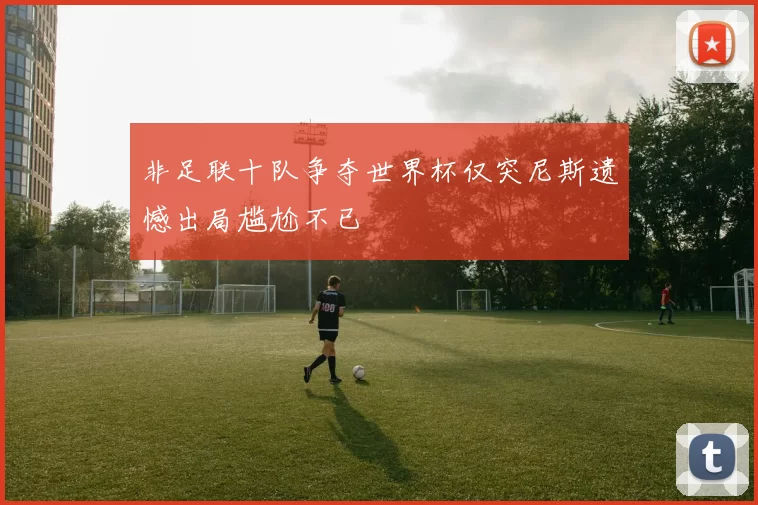 非足联十队争夺世界杯仅突尼斯遗憾出局尴尬不已